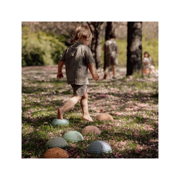 Sansesten - Find That Hippo - Sunrise