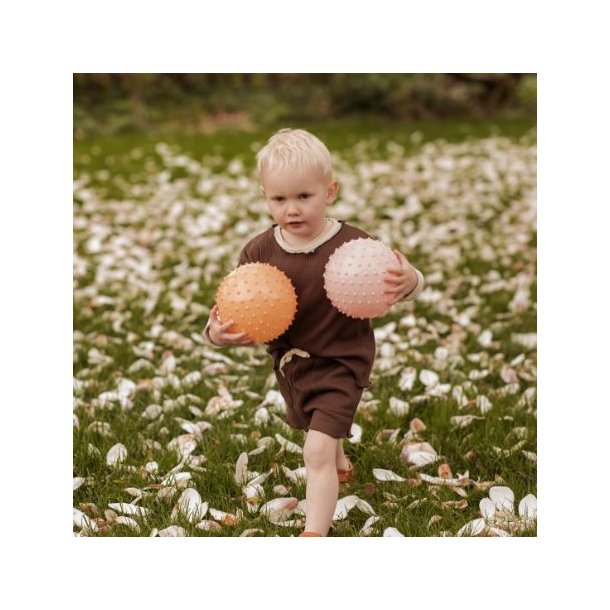 Find That Hippo ⎸ Sansebolde (Bluff &amp; Rosy Brown) - 2 stk.