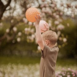 Sansebolde - Find That Hippo (Bluff &amp; Rosy Brown) - 2 stk.