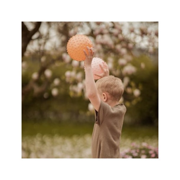 Find That Hippo ⎸ Sansebolde (Bluff &amp; Rosy Brown) - 2 stk.