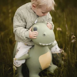 Find That Hippo ⎸ Hoppedyr - Dinosaueren Dexter 