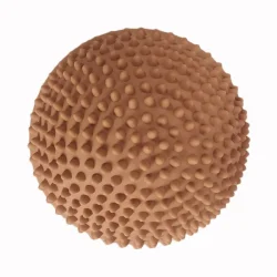 Find That Hippo ⎸ Sansesten - Sunset