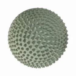 Find That Hippo ⎸ Sansesten - Sunset