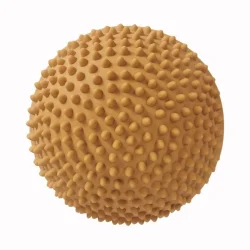 Find That Hippo ⎸ Sansesten - Sunrise