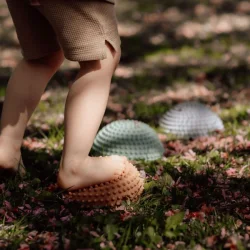 Find That Hippo ⎸ Sansesten - Sunset