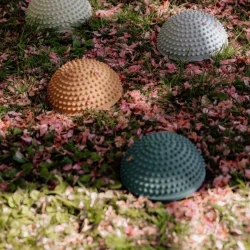 Find That Hippo ⎸ Sansesten - Sunset