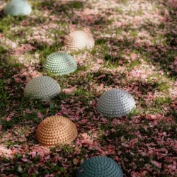 Find That Hippo ⎸ Sansesten - Sunrise