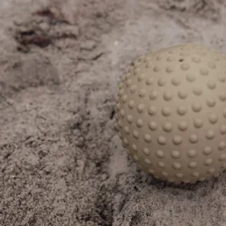 Find That Hippo ⎸ Stor sansebold - Moss Green 