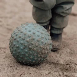 Find That Hippo ⎸ Stor sansebold - Weldon blue 