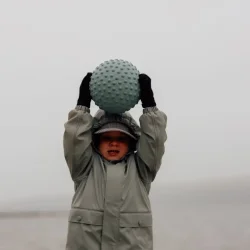 Find That Hippo ⎸ Stor sansebold - Weldon blue 