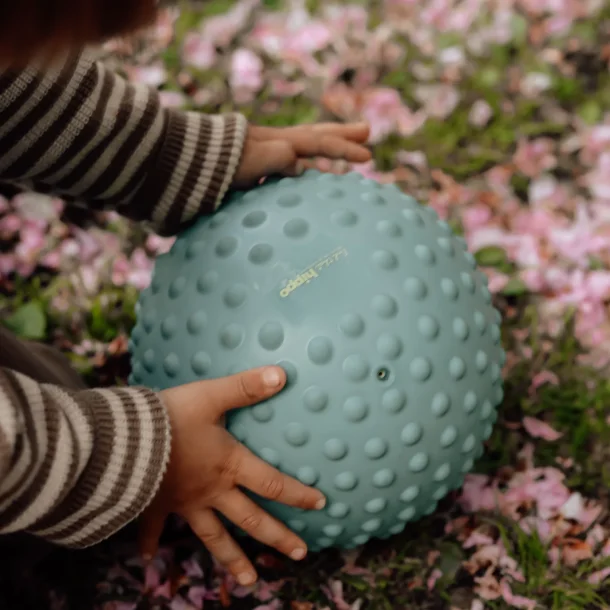 Find That Hippo ⎸ Stor sansebold - Weldon blue 