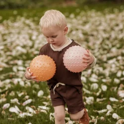 Find That Hippo ⎸ Sansebolde (Bluff &amp; Rosy Brown) - 2 stk.