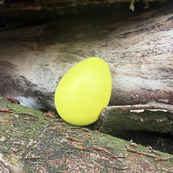 Trommus ⎸ Rasle�g til b�rn - flere farver