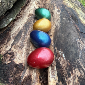 Trommus ⎸ Rasle�g i skinnende farver 