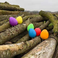 Trommus ⎸ Rasle�g til b�rn - flere farver